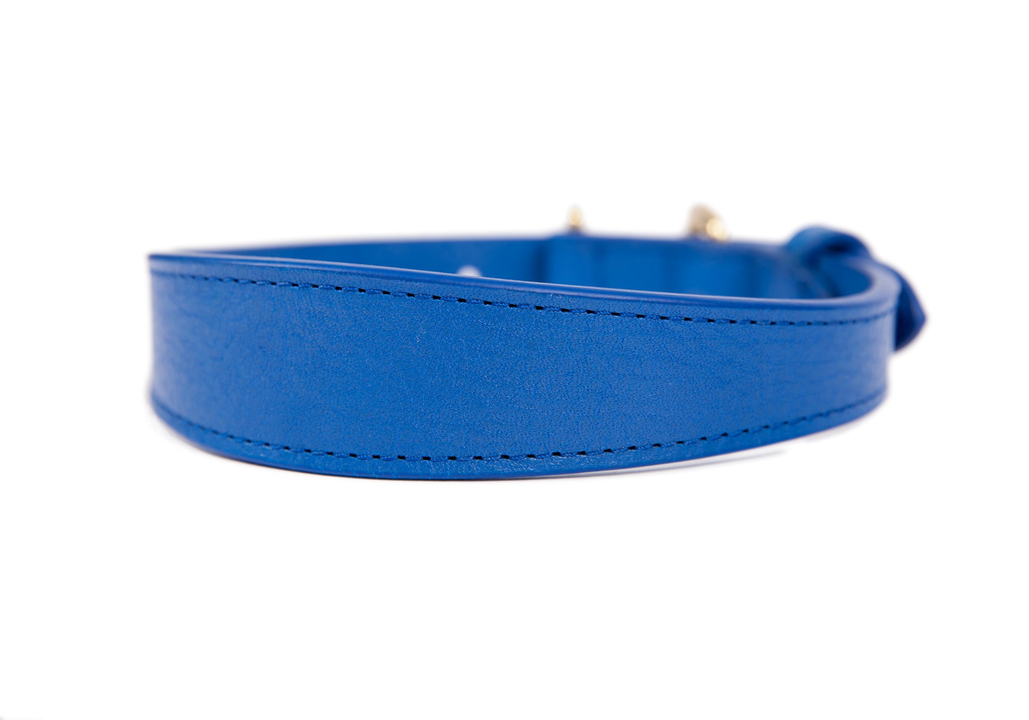 Small Leather Dog Collar Electric Blue