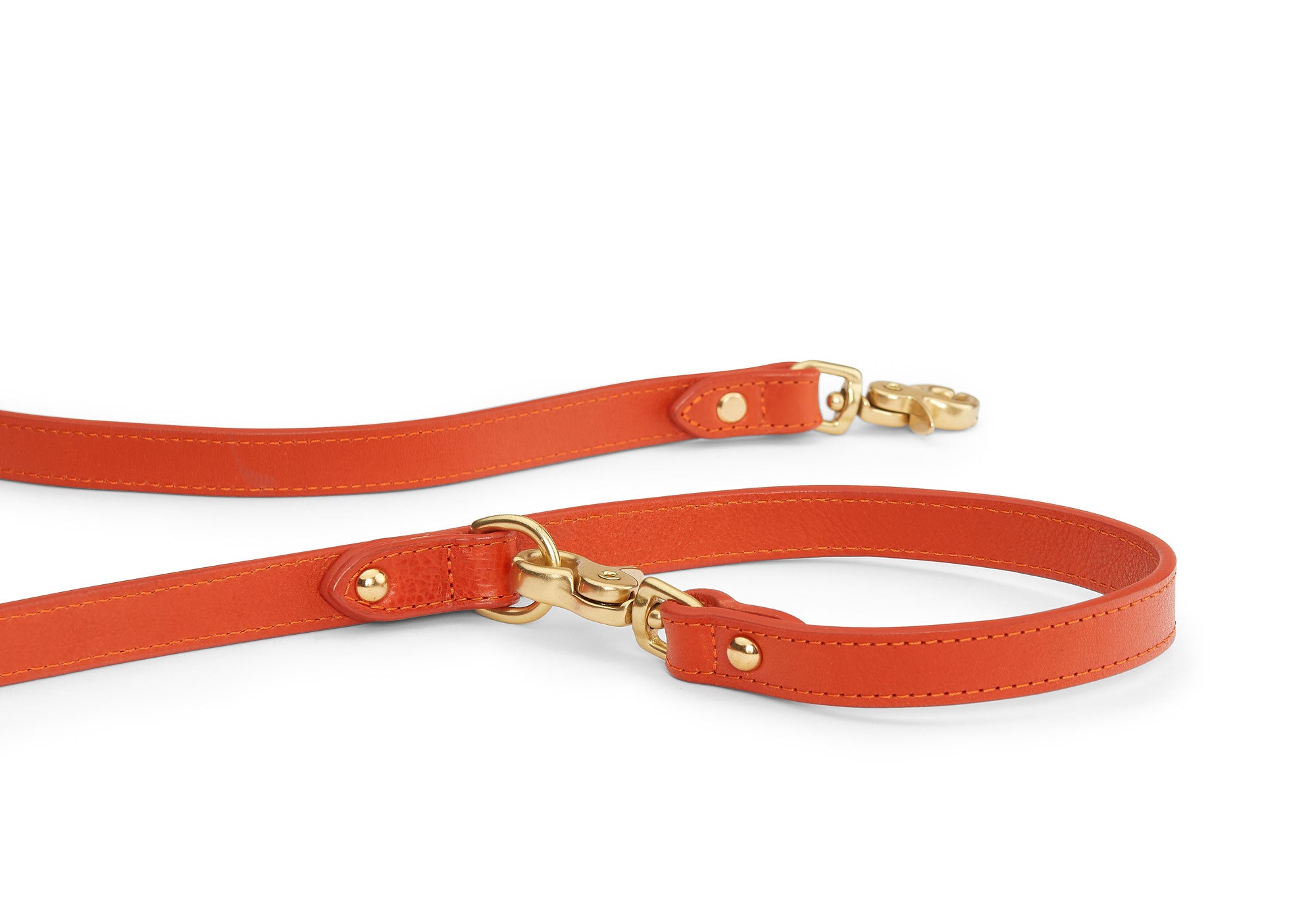 Leashes by Liz Ghost Dog Collar - Orange and
