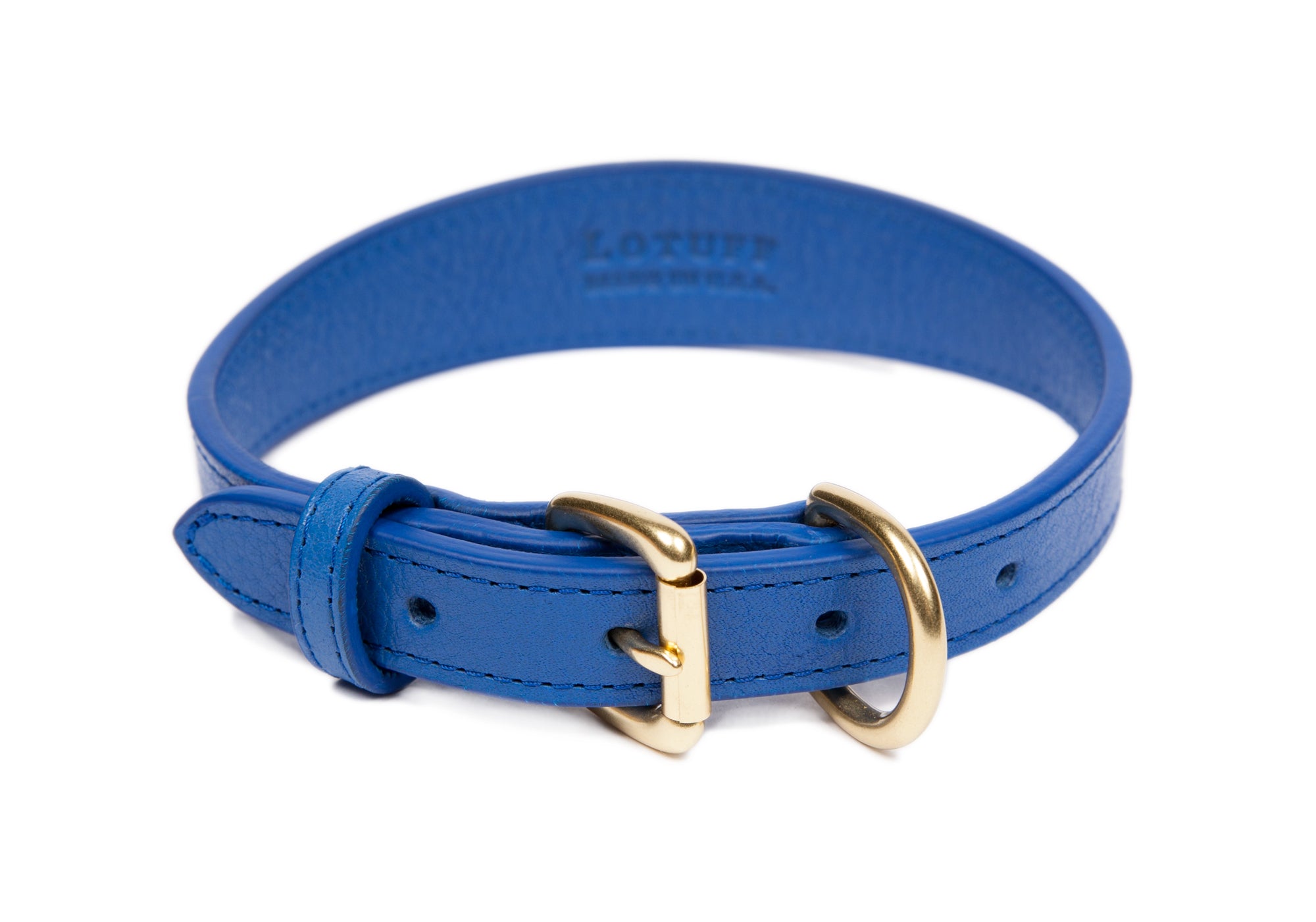 Large Leather Dog Collar Electric Blue