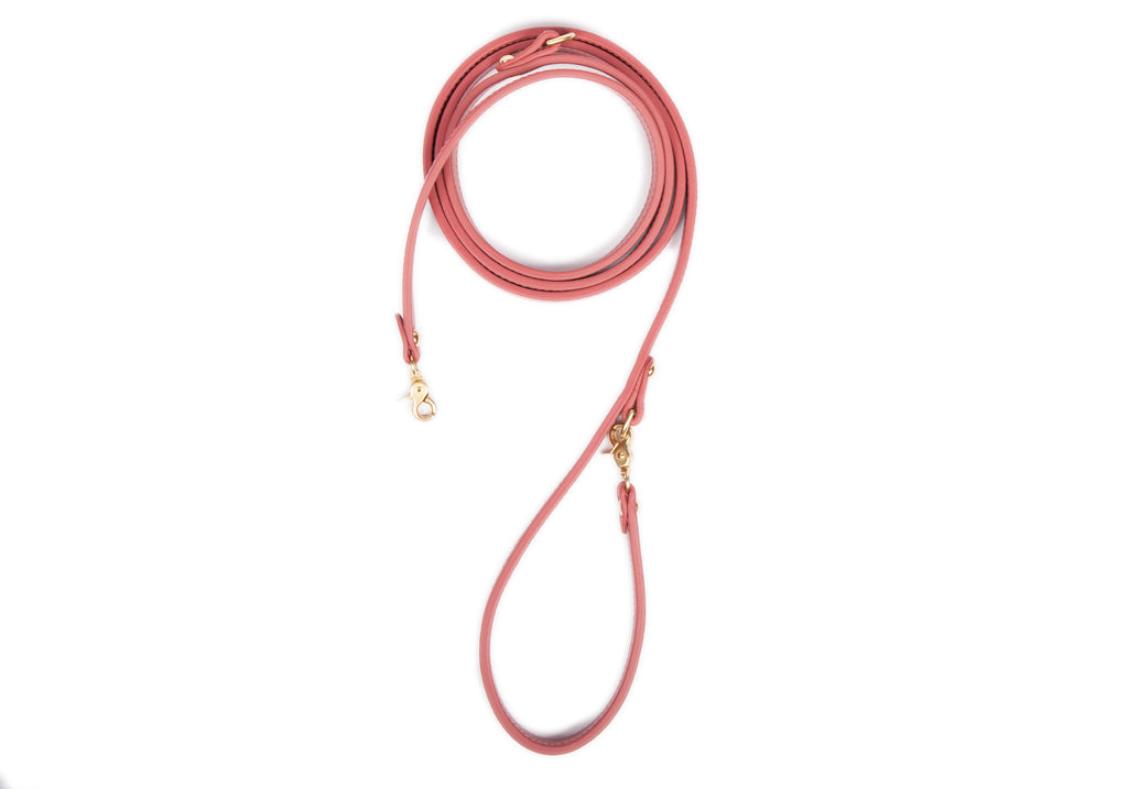Short leather dog leash top